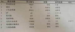 911香蕉视频APPGK-Y全自动阴道分泌物香蕉视频黄污下载厂家科普“白带常规”查看报告！